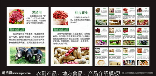 地方農(nóng)副土特產(chǎn)品介紹與推廣模板設(shè)計(jì)