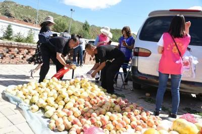 千畝葵花扮靚最美榆林 農(nóng)副土特產(chǎn)品的生態(tài)與經(jīng)濟(jì)交響曲